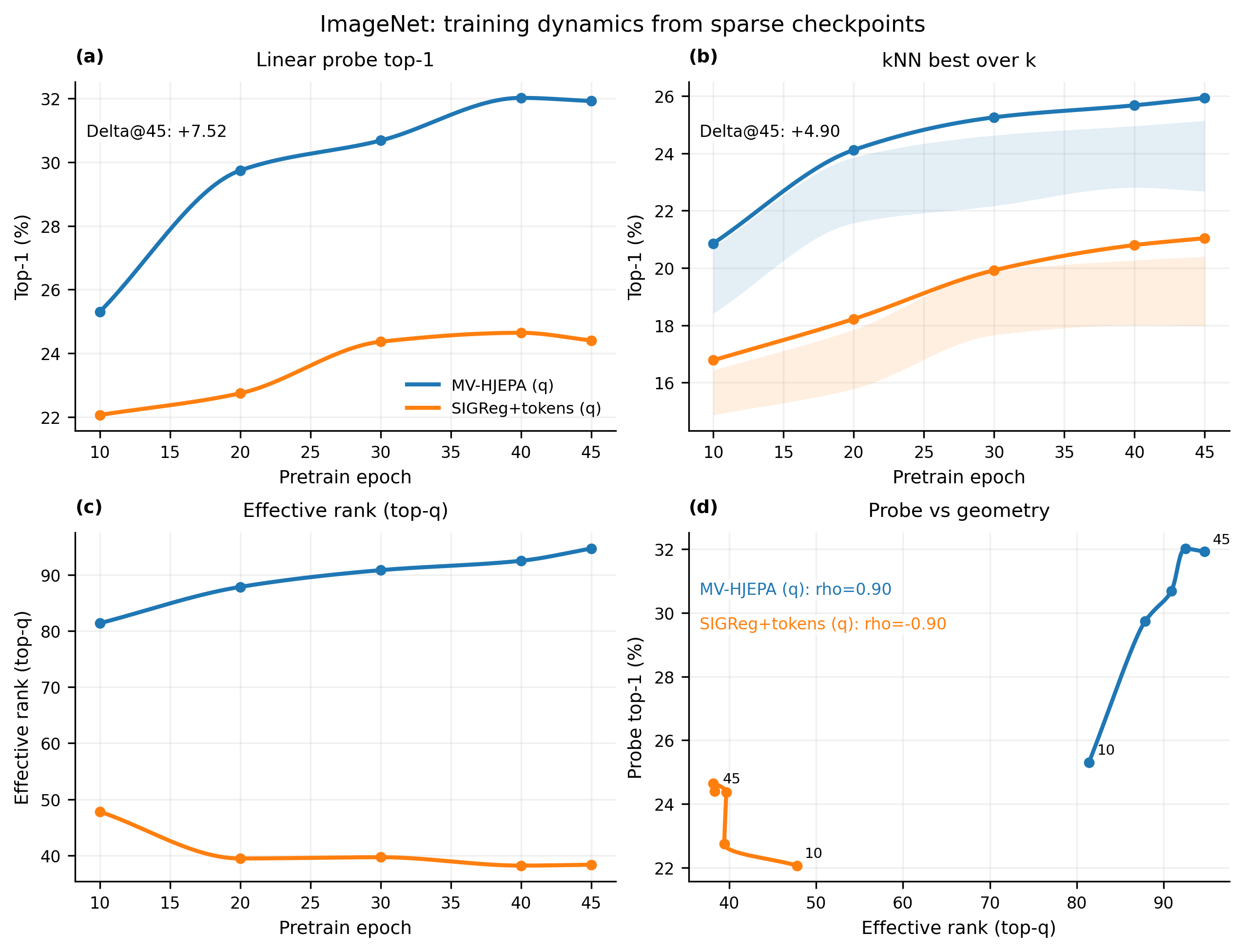 ImageNet-100 training dynamics